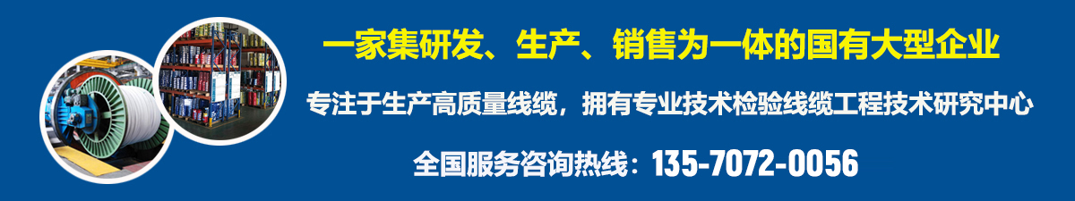 广州电缆厂